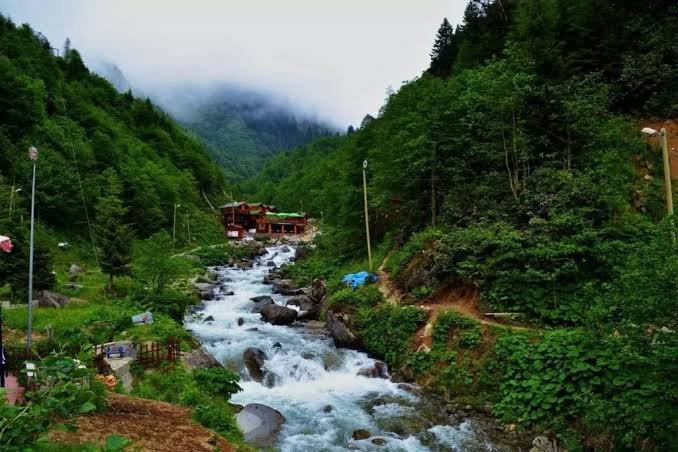 التنزه بين الغابات — صورة 5
