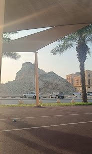 ممشى وحديقة النسيم — صورة 15