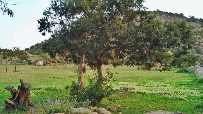 حديقة الأمير سلطان — صورة 3