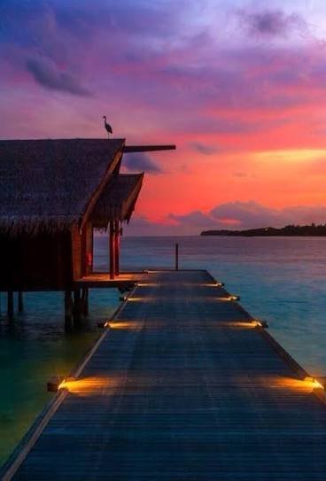 رحلة بحرية لمشاهدة الغروب والدلافين — صورة 5
